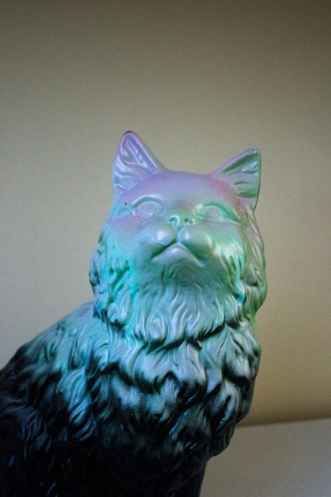 Olinko joskus kissanpoika? installed in an abandoned military dormitory building, Uus Festivaali art path group exhibition 2023.

Photo: Lauri Tujula