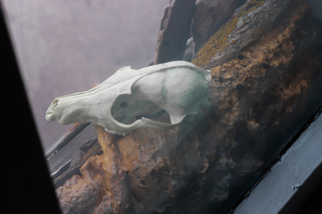 Naapuri installation in Outopia art exhibition, Kotka, Finland, 2023.

Photo: Toni Lahti